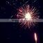 Economic hot-sale shipping fireworks