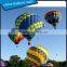 Inflatable Hot Air Balloon for Advertisment, Flying Hot Air Balloon for sale