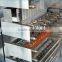 DLL-420 Automatic Strip Packing Machine