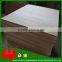 Finger joint laminated board in radiata paulownia / chile paulownia wood