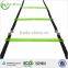 Zhensheng sport accessories agility ladder