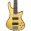 5-string bass guitar for custom design