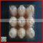 Donguan manufacture clear PET egg tray with secure fram and button joints-9 pcs