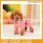 Glass Bear Design Hot Pet Clothes, Bulk Pet Clothes