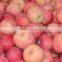 Fruit Fillings/Apple Pie Filling or Topping