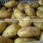 potato in 2.8/3kg cartons