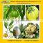 GMP Certified Factory Supply Pure Garcinia Cambogia Extract Powder