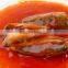China best canned sardine canned food health food
