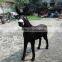 Motorized Animals Cartoon Outdoor Donkey