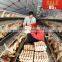 sale 1.95m 30nest 3 tier chicken Breeding Cage(ISO9001) in High Quality