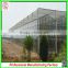 China cheapest Hot-dip galvanized steel structure greenhouses with hydroponic grow systems