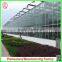 Venlo agricultural pc sheet vegetable/fruit/flower greenhouse