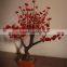 Christmas holiday decoration New Items Led Indoor Tree Lights