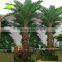 GNW APM040 foxtail palm tree for christmas decorations in market sale