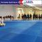 Karate Federation Special Eva Taekwondo Mat 2.5cm 3cm 4cm Gym Mats