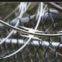 Razor Wire Mesh