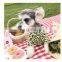 Dog Clothes Leopard Print T-shirt Summer Thin Breathable Pet Shirt Corgi Teddy Schnauzer Pomeranian Clothing