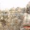 HAS VIDEO PE PP BAG film waste plastic recycling machine