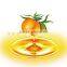 herbal extract organic seabuckthorn seed oil