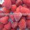 Sinocharm 15-40mm IQF Fresh  Whole Frozen Strawberry with BRC Certificate