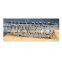High performance  2454324 1105099 c15 cylinder head