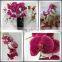 Artificial simulation small spots orchids