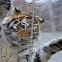 Safety Mesh ss304 ss316 stainless steel rope mesh/Zoo safety mesh fenc,Animal safety fence mesh