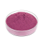 Bilberry Extract