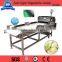 Hot Sale Electric Leaf Vegetable Cutting Machine