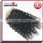 2015 Brazilian Hair Weave Kinky Curly Top Quality Silk Base Lace Closure