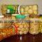 Canned Mushroom Top Quality