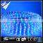 Led light swimming pool rope light , 220v color changing led rope light                        
                                                Quality Choice