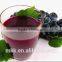 Large mouth juicer /low speed juicer
