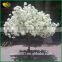 1.8m indoor decor artificial cherry blossom tree white fake cherry blossom tree                        
                                                                                Supplier's Choice