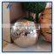 Gazing Stainless Steel Ball