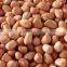 china dried peanut kernel baisha