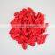 Factory Direct Sale Water Bomb / Water Balloon