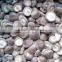 IQF Frozen Shiitake Mushroom