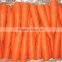 2016 new crop fresh carrot price from China