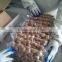Factory of peeled garlic in vacuum packed with top quality