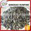 Bulk green pumpkin seeds gws