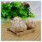 Natural China Black Garlic Price in Blister Package