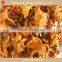 Wild dried mushroom chanterelle with wholesale prices