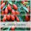 Manfacturer Supply Goji Berries Price