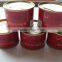 2015 price canned tomato paste manufacturer 70g to 4500g