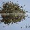 High Qulity Lightweight Crude Raw Vermiculite for Concrete and Insulation