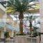 Wholesale fiber glass and plastic palm tree Chinese goods tall palm trees