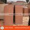 India Agra Red Sandstone tiles