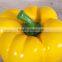 Plastic Bell pepper