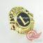 Metal Enamel Badge,enamel Emblems for Lion Club